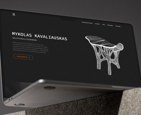 Svetainių kūrimas - Web dizainas - Svetainių kūrimas - 1