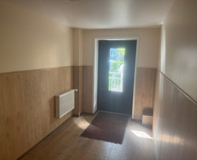 Laminato klojimas - Plytelių klijavimas, gipso dėjimas,laminato dėjimas - 1