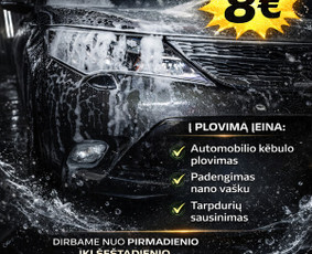 Cheminis salono valymas - Automobiliu plovykla variklių plovimas i&scaron; vir&scaron;aus ir apačios - 2