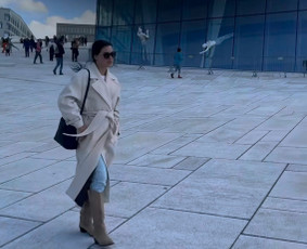 Paslaugos verslui - Profesionalios teisinės paslaugos (ir anglų k.) - 4