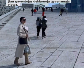 Paslaugos verslui - Profesionalios teisinės paslaugos (ir anglų k.) - 1