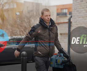 Aplinka, sodas - Blakių, erkių, vapsvų, vorų ir kitų vabzdžių naikinimas. - 2