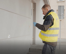 Aplinka, sodas - Blakių, erkių, vapsvų, vorų ir kitų vabzdžių naikinimas. - 4