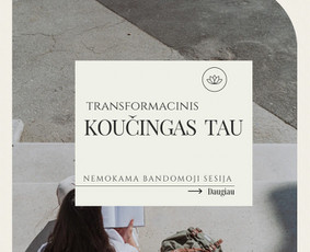 Koučingo specialistai - Transformacinis savęs pažinimo koučingas Lt, Eng - 4
