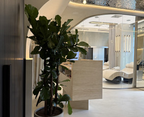 Buitinės paslaugos - Interjero apželdinimas ir periodinė augalų priežiūra - 4