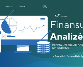 Finansų konsultantai - Verslo, pirkimų ir finansų optimizavimo konsultacijos - 3
