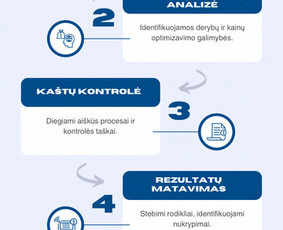Finansų konsultantai - Verslo, pirkimų ir finansų optimizavimo konsultacijos - 4