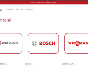 Programuotojai - Patikimas IT partneris jūsų projektams - 1