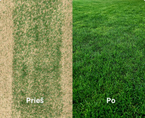 Žemės kasimas, lyginimas - Vandentvarkos rangos, kasimo, infrastruktūros ir kt. darbai - 1