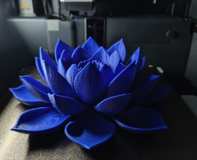 3D spausdinimas, skenavimas - 3d spausdinimas(paprastas ir spalvotas) - 4