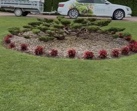 Medžių genėjimas, pjovimas - Sodininko paslaugos - 3