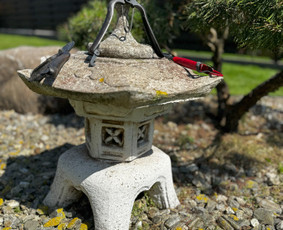 Medžių genėjimas, pjovimas - Sodininko paslaugos - 1