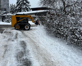 Vaismedžių genėjimas - Genėjimas, apželdinimas ir kiti aplinkotvarkos darbai - 2