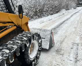 Vaismedžių genėjimas - Genėjimas, apželdinimas ir kiti aplinkotvarkos darbai - 1