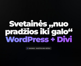 Svetainių kūrimas - Svetainių kūrimas, optimizavimas ir palaikymas - 1