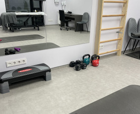 Kineziterapeutai - Kineziterapija - 2