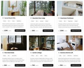 Internetas, IT - Greiti web sprendimai verslui - 1