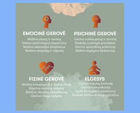 Banerių kūrimas - A Cosmos studio &ndash; jūsų prekės ženklo vizualus sprendimas - 2