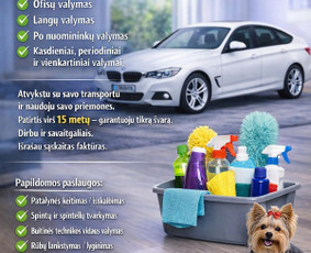 Buitinės paslaugos - Valymo paslaugos Kaune - 1