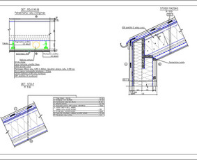 Kitos kategorijos - Neypatingųjų statinių konstrukcijų projekto dalių rengimas - 3