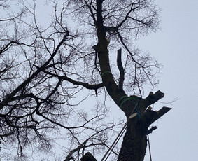 Statybos, apdaila - Auk&scaron;talipiai-alpinistai - 3