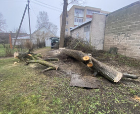 Statybos, apdaila - Auk&scaron;talipiai-alpinistai - 2
