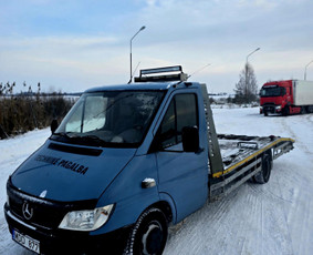 Krovinių pervežimas - Traliukas/tralas/paslaugos - 1