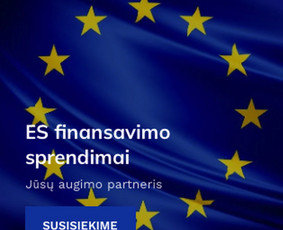 Paslaugos verslui - Es paramos projektai 2026 - 4