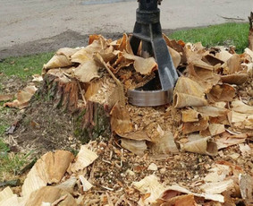 Statybos, apdaila - Apleistų sklypų tvarkymas - 1