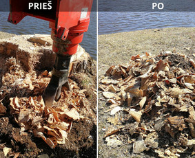 Statybos, apdaila - Apleistų sklypų tvarkymas - 1