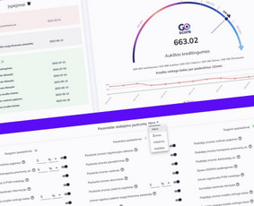 Dirbtinio Intelekto sprendimai ir automatizacijos verslui / MB Mygom.tech / Darbų pavyzdys ID 4234300