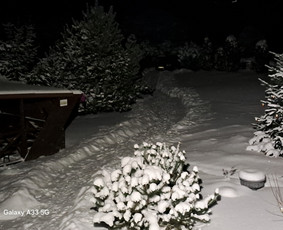 Sodybos nuomai - Sodyba nuomai - 3