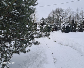 Sodybos nuomai - Sodyba nuomai - 2