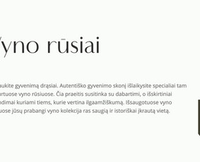 Internetas, IT - Reklaminių idėjų, tekstų, komunikacijos strategijos kūrimas. - 3