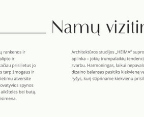 Internetas, IT - Reklaminių idėjų, tekstų, komunikacijos strategijos kūrimas. - 2