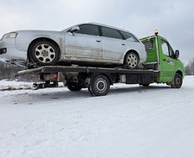 Tralo paslaugos kroviniu pervezimas / Deimantas / Darbų pavyzdys ID 4236518