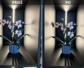 Buto valymas po nuomininkų - Raktas į &scaron;varią aplinką ir ramią galvą. - 1