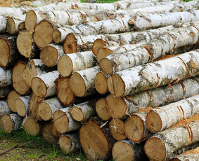 Aplinka, sodas - Malkos rąsteliais - 1