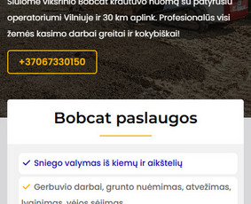 Mokėjimo sistemų pajungimas - PHP Programavimas, Internetinių puslapių kūrimas - 4