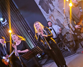 Muzikantai, dainininkai, grupės - Gyvo garso grupė Gyvs Vaibs - 2