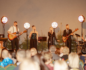 Dainininkai, muzikos grupės - Gyvo garso grupė Gyvs Vaibs - 3