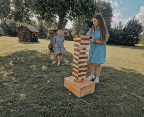 Lauko žaidimų nuoma / TOŠIS - žaidimų nuoma / Darbų pavyzdys ID 4239224
