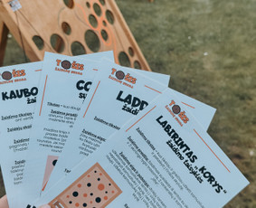 Lauko žaidimų nuoma / TOŠIS - žaidimų nuoma / Darbų pavyzdys ID 4239232