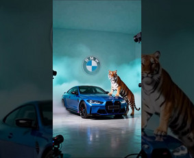 Automobilių apklijavimas apsaugine plėvele, Premium Auto Spa / Premium Auto Spa / Darbų pavyzdys ID 4239388