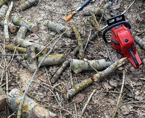 Terasos alyvavimas - Profesionalios pagalbinių darbų paslaugos - 1