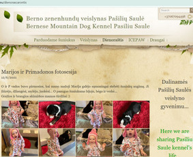 Interneto svetainių administratoriai - Google/ Meta Ads kampanijos & Seo paruo&scaron;imas mažam verslui - 2