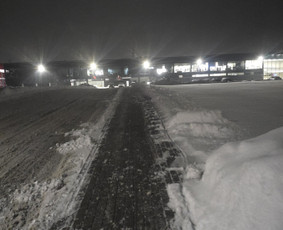 Landšafto dizainas, sodininko paslaugos / Sodo Genys / Darbų pavyzdys ID 4240512