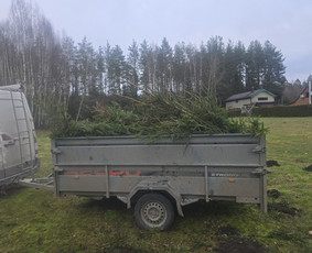 Landšafto dizainas, sodininko paslaugos / Sodo Genys / Darbų pavyzdys ID 4240538