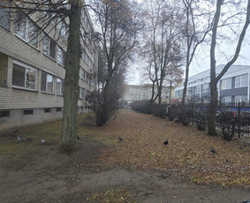Landšafto dizainas, sodininko paslaugos / Sodo Genys / Darbų pavyzdys ID 4240542
