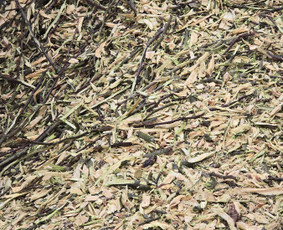 &Scaron;akų smulkinimas - Land&scaron;afto dizainas, sodininko paslaugos - 2